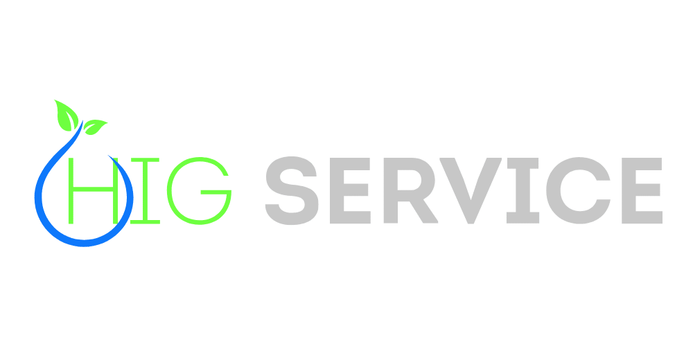 LOGO HIG SERVICE